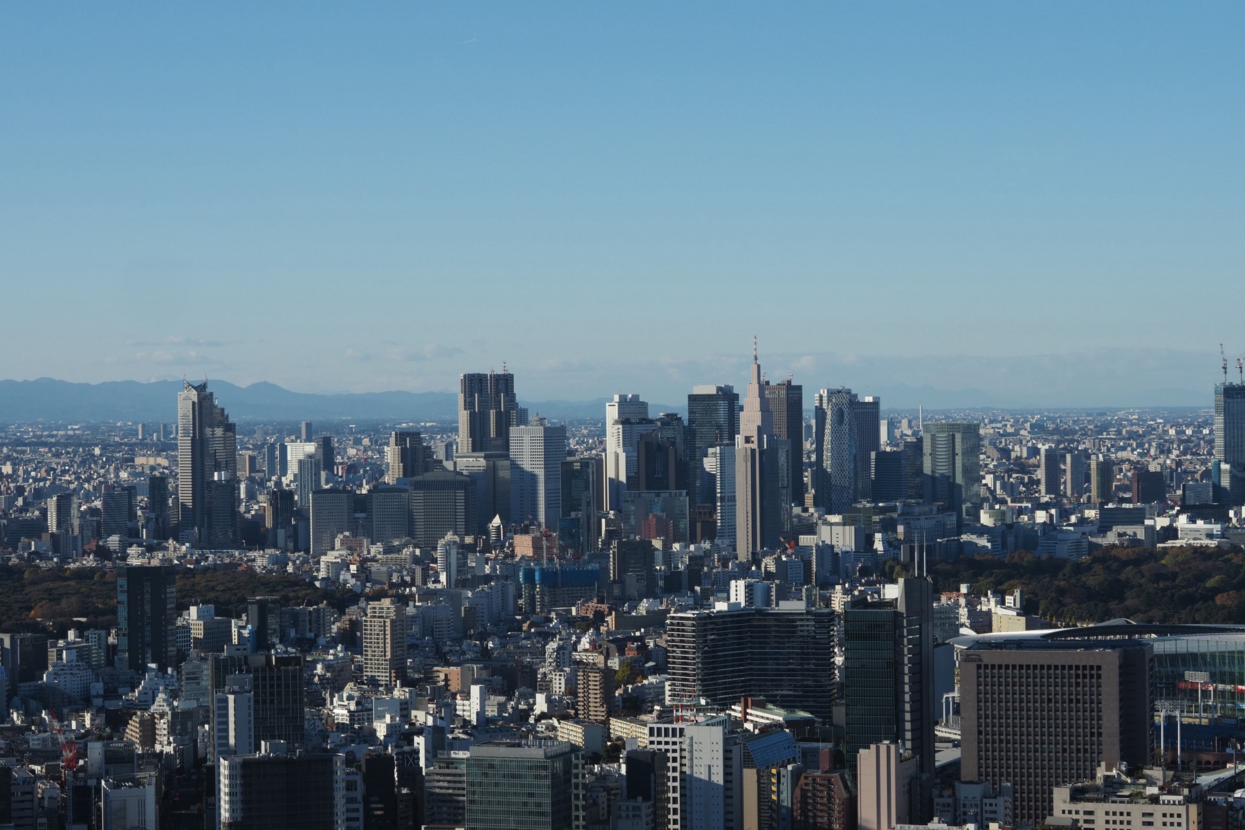 高層階から見る東京の夕景